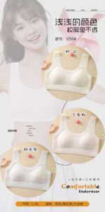 Beiya V56 Seamless Wireless Fixed Cup Bra for Women | Breathable Everyday Comfort Bra (L-XL) - Image 5